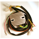 BMW R100RT 1000 (78-95) REGULADOR ELECTROSPORT
